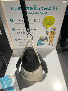 大南極展に投稿された画像（2026/7/5）