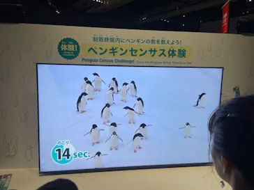大南極展に投稿された画像（2026/7/5）
