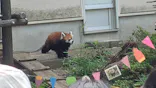 千葉市動物公園に投稿された画像（2026/7/6）