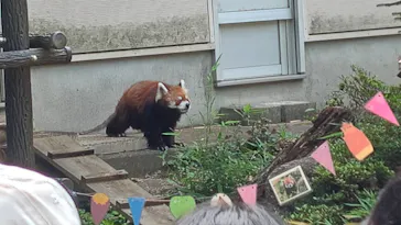 千葉市動物公園に投稿された画像（2026/7/5）