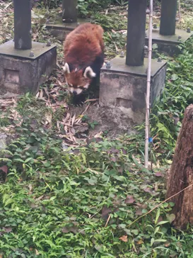 千葉市動物公園に投稿された画像（2026/7/5）