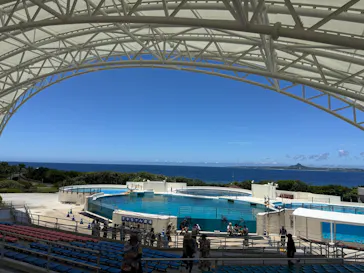 沖縄美ら海水族館に投稿された画像（2026/7/6）