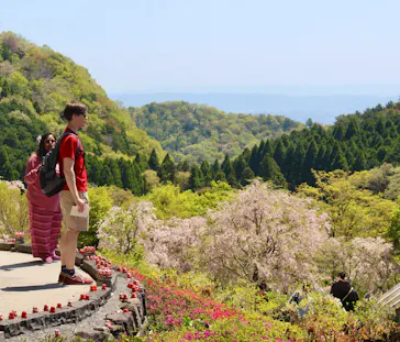 勝尾寺に投稿された画像（2026/7/6）
