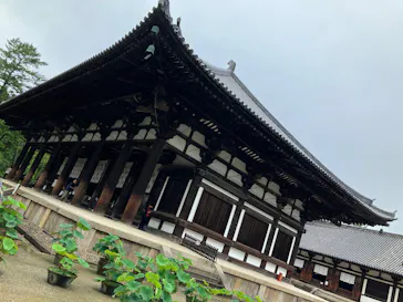 公益社団法人　奈良市観光協会に投稿された画像（2026/7/6）