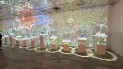 NARA KINGYO MUSEUMに投稿された画像（2026/7/6）
