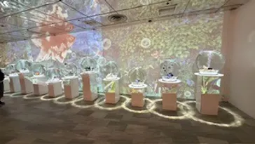 NARA KINGYO MUSEUMに投稿された画像（2026/7/6）