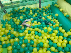 ザキッズ大阪アルザ泉大津店に投稿された画像（2026/7/6）