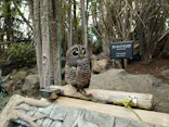 伊豆シャボテン動物公園に投稿された画像（2026/7/6）