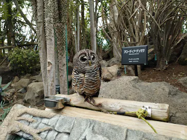 伊豆シャボテン動物公園に投稿された画像（2026/7/6）