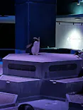 AOAO SAPPOROに投稿された画像（2026/7/6）