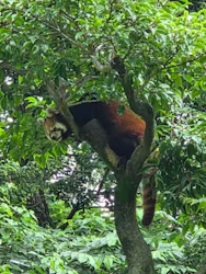 多摩動物公園に投稿された画像（2026/7/6）
