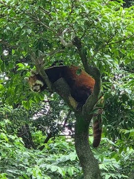 多摩動物公園に投稿された画像（2026/7/6）