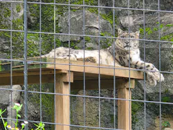 多摩動物公園に投稿された画像（2026/7/6）