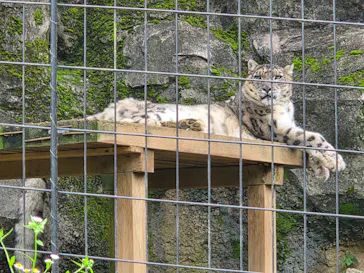 多摩動物公園に投稿された画像（2026/7/6）
