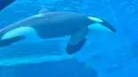 名古屋港水族館に投稿された画像（2026/7/7）