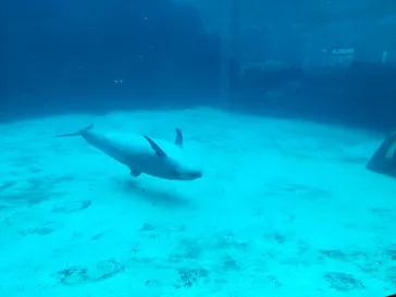 名古屋港水族館に投稿された画像（2026/7/6）