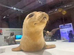 大南極展に投稿された画像（2026/7/6）