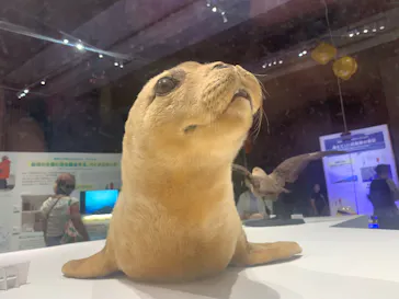 大南極展に投稿された画像（2026/7/6）