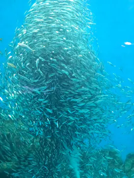 のとじま水族館に投稿された画像（2026/7/7）