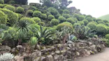 伊豆シャボテン動物公園に投稿された画像（2026/7/7）