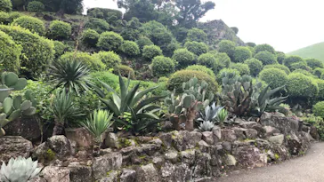 伊豆シャボテン動物公園に投稿された画像（2026/7/7）
