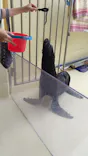 新江ノ島水族館に投稿された画像（2026/7/7）