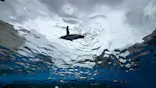 サンシャイン水族館に投稿された画像（2026/7/7）
