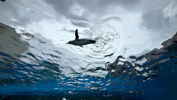 サンシャイン水族館に投稿された画像（2026/7/7）