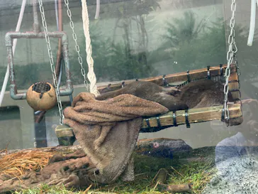 サンシャイン水族館に投稿された画像（2026/7/7）