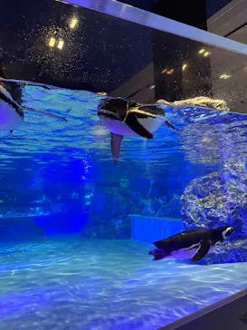 すみだ水族館に投稿された画像（2026/7/7）