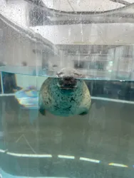 京都水族館に投稿された画像（2026/7/7）