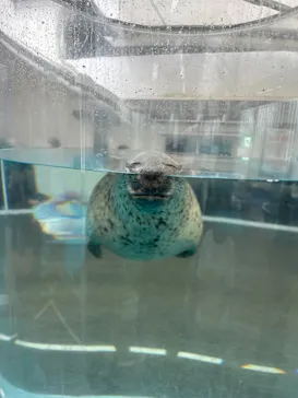 京都水族館に投稿された画像（2026/7/7）