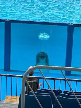 伊豆・三津シーパラダイスに投稿された画像（2026/7/7）