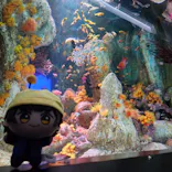サンシャイン水族館に投稿された画像（2026/7/7）