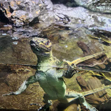 サンシャイン水族館に投稿された画像（2026/7/7）