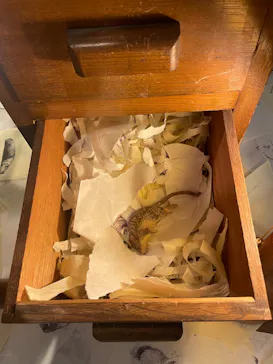 尾道市立美術館に投稿された画像（2026/7/7）