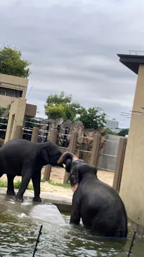 天王寺動物園に投稿された画像（2026/7/7）