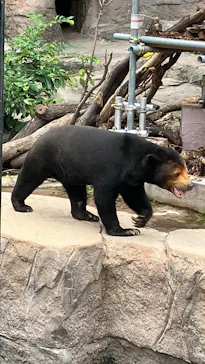 天王寺動物園に投稿された画像（2026/7/7）
