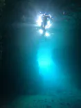 武藤潜水に投稿された画像（2026/7/8）