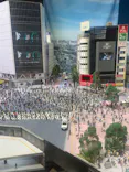 ミニチュアミュージアム スモールワールズに投稿された画像（2026/7/8）