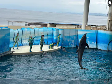 新江ノ島水族館に投稿された画像（2026/7/8）