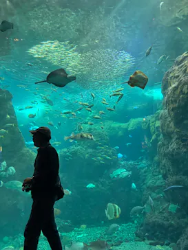 新江ノ島水族館に投稿された画像（2026/7/8）