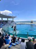 鴨川シーワールドに投稿された画像（2026/7/8）
