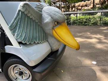 上野動物園 ハシビロカートに投稿された画像（2026/7/8）