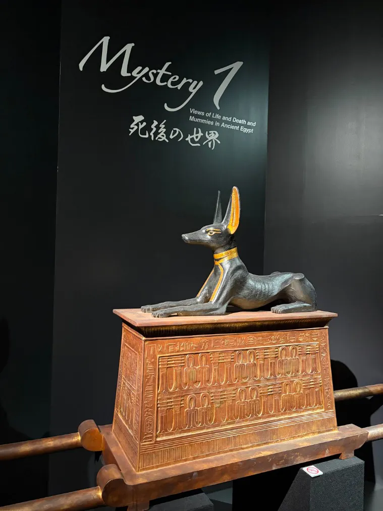 MYSTERY OF TUTANKHAMEN 体感型古代エジプト展の口コミ ｜入り口から