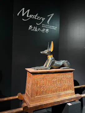 MYSTERY OF TUTANKHAMEN 体感型古代エジプト展に投稿された画像（2026/7/8）