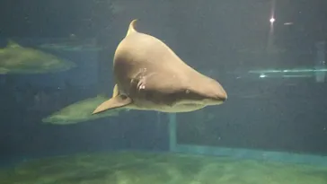 アクアワールド茨城県大洗水族館に投稿された画像（2026/7/8）