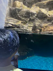 アクアワールド茨城県大洗水族館に投稿された画像（2026/7/8）