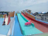 蓮沼ウォーターガーデンに投稿された画像（2026/7/8）