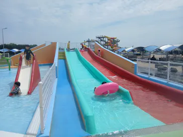 蓮沼ウォーターガーデンに投稿された画像（2026/7/8）